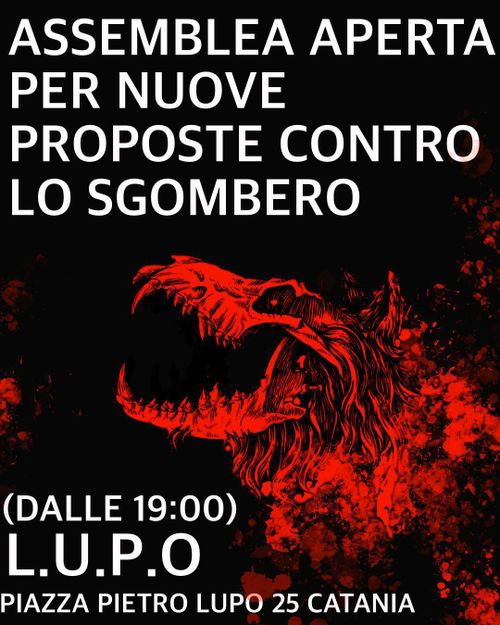 Assemblea Aperta
