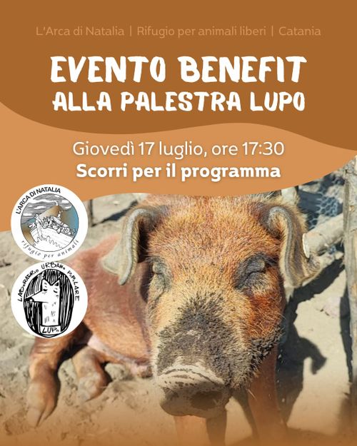EVENTO BENEFIT per il santuario antispecista L'Arca di Natalia alla Palestra Lupo  