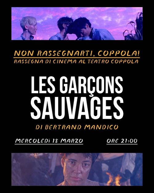 RASSEGNA DI CINEMA / Terzo appuntamento LES GARÇONS SAUVAGES 
