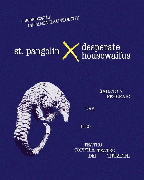 St. Pangolin X Desperate Housewaifus 