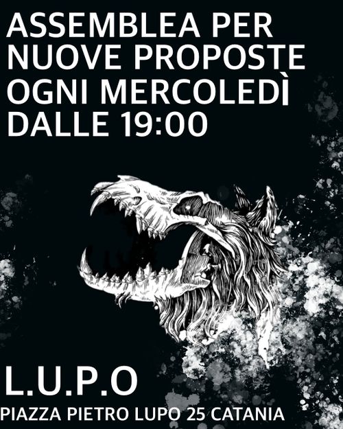 ASSEMBLEA NUOVE PROPOSTE